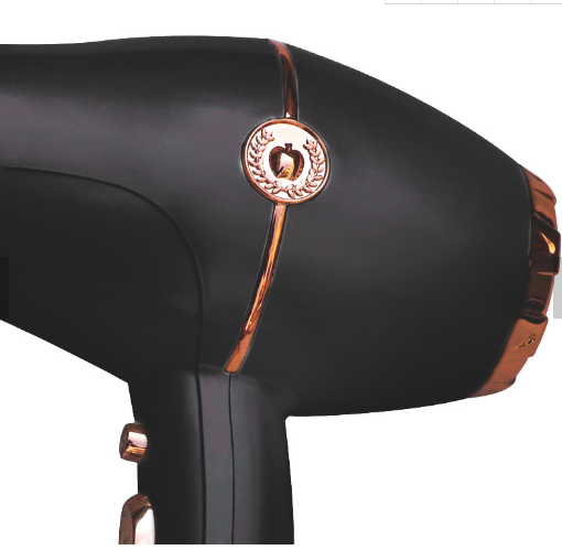 Newest Design Black Private Logo Professional Salon Hair Dryer High Power Salon Barber High Quality Bulk Dryer