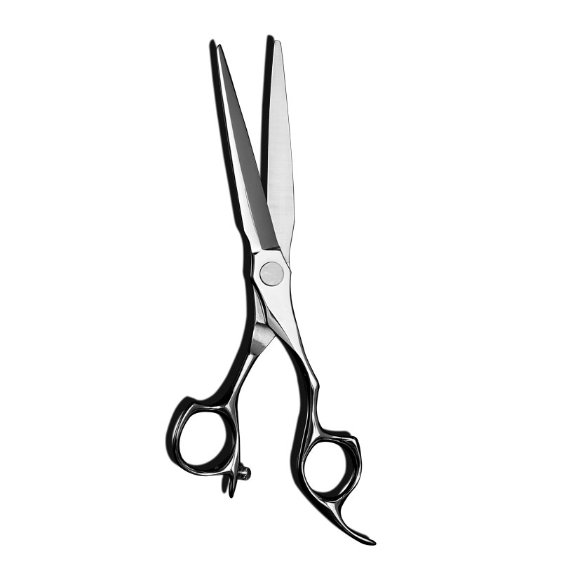 AN165 Unique Design Professional Scissors Hair Salon Beauty Scissor 