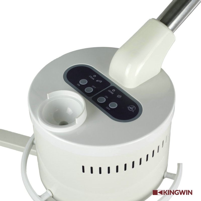 2-IN-1 Beauty Machine (Facial Steamer+Mag Lamp)