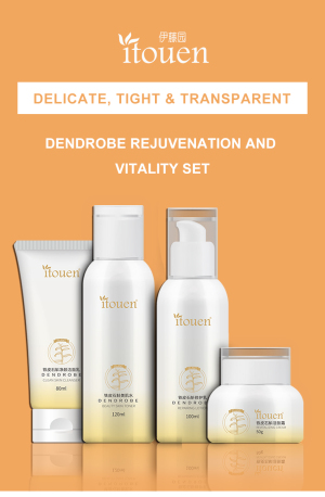 Dendrobe rejuvenation and vitality set
