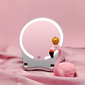 Round Shape Magnifying Lighted Makeup Mirror with LED Lights