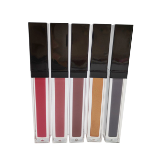 Wesson 49 Colors Transparent Square Tube Matte Lip Gloss