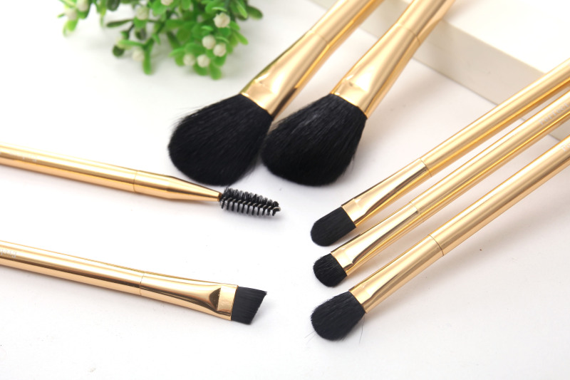 Wesson beauty private label makeup tool beginner professional beauty needs makeup brush set 