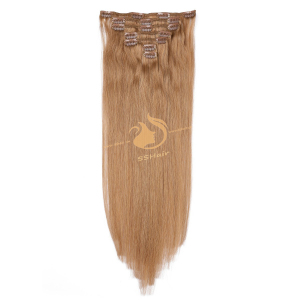 SSHair // Clip in Hair Extensions // Remy Human Hair // 10# // Straight