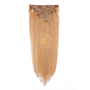 SSHair // Clip in Hair Extensions // Remy Human Hair // 12# // Straight