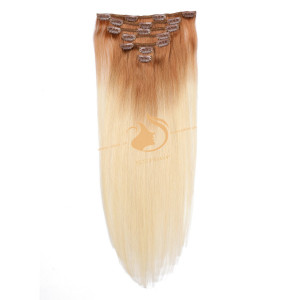 SSHair // Clip in Hair Extensions // Remy Human Hair // 12# T 60# // Straight