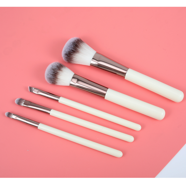 Private Label Professional 5PCS MakeUp Brush set