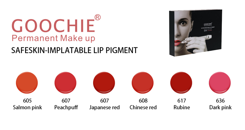 Goochie Permanent Makeup lip Pigment Kit 
