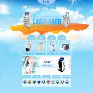 Lasylaser CO2 fractional laser machine for vagina tightening and strech mark scar removal beauty machine factory