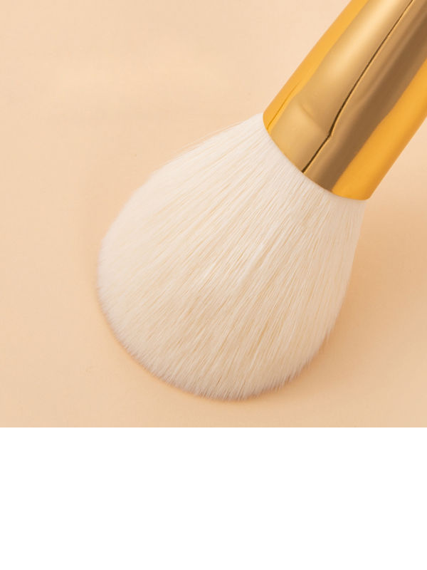 5pcs travel set Makeup brush set daily makeup OEM factory hair brush for facial makeup