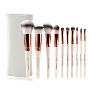 Aovea 10 piece makeup Cosmetic brush with bag