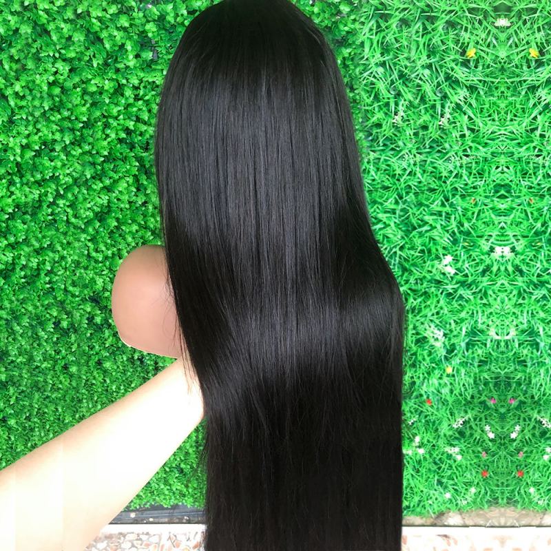 GS HAIR Raw  virgin water wave brazilian human hair wig,13x4 13x6 hd transparent lace frontal virgin hair wig for black women