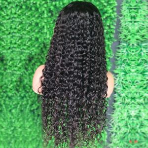 GS HAIR Raw  virgin water wave brazilian human hair wig,13x4 13x6 hd transparent lace frontal virgin hair wig for black women