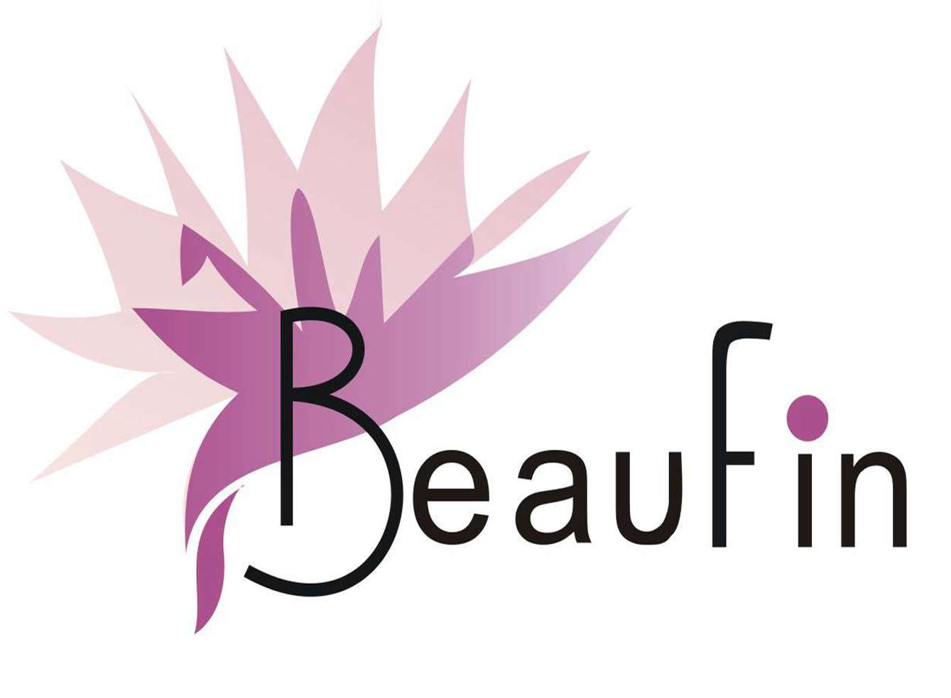 Beaufin Industry Limited